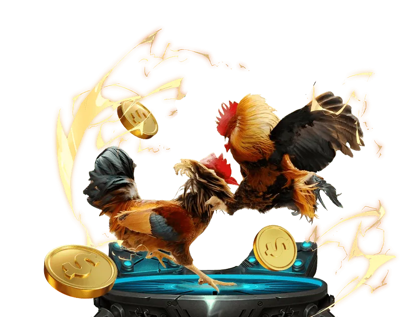 Trưng bày các phần thưởng sang trọng và quà tặng giá trị cho thành viên VIP